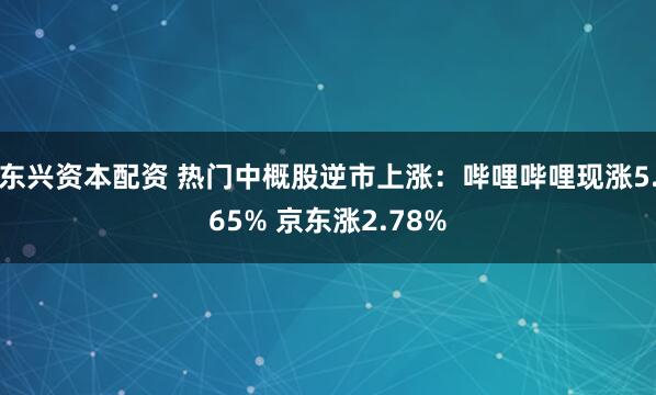 东兴资本配资 热门中概股逆市上涨：哔哩哔哩现涨5.65% 京东涨2.78%
