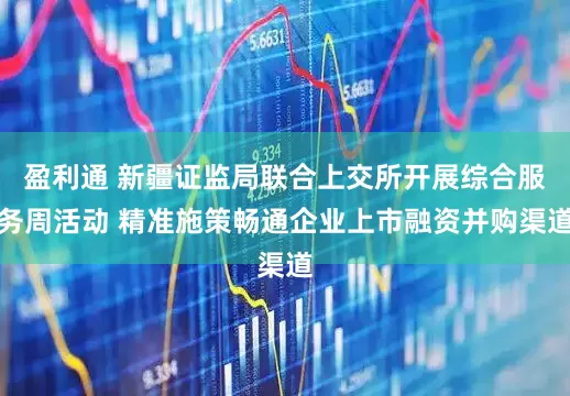 盈利通 新疆证监局联合上交所开展综合服务周活动 精准施策畅通企业上市融资并购渠道