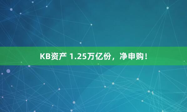 KB资产 1.25万亿份，净申购！