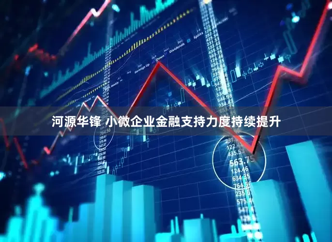 河源华锋 小微企业金融支持力度持续提升