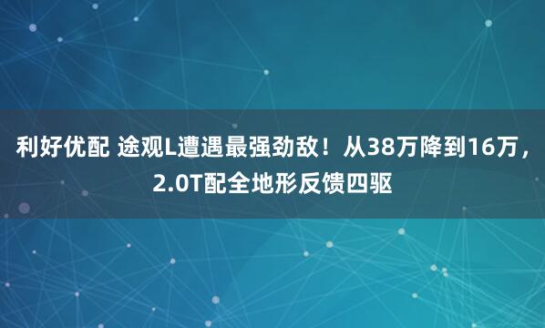 利好优配 途观L遭遇最强劲敌！从38万降到16万，2.0T配全地形反馈四驱