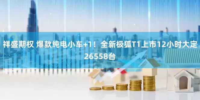 祥盛期权 爆款纯电小车+1！全新极狐T1上市12小时大定26558台