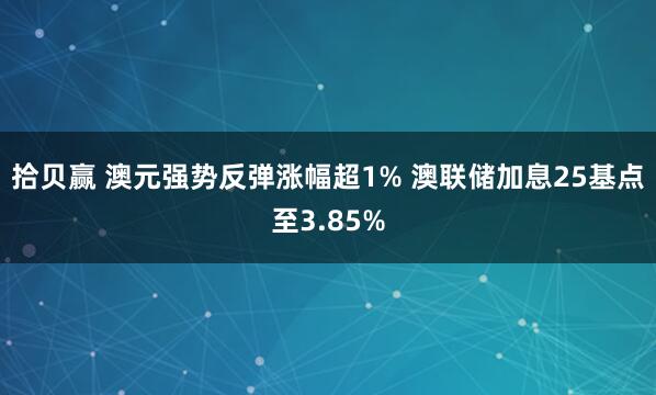 拾贝赢 澳元强势反弹涨幅超1% 澳联储加息25基点至3.85%